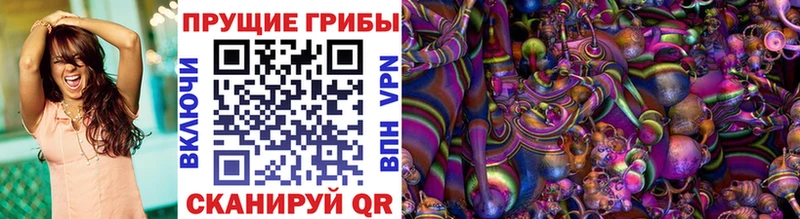 МЕГА как войти  Сургут  Галлюциногенные грибы Psilocybe 